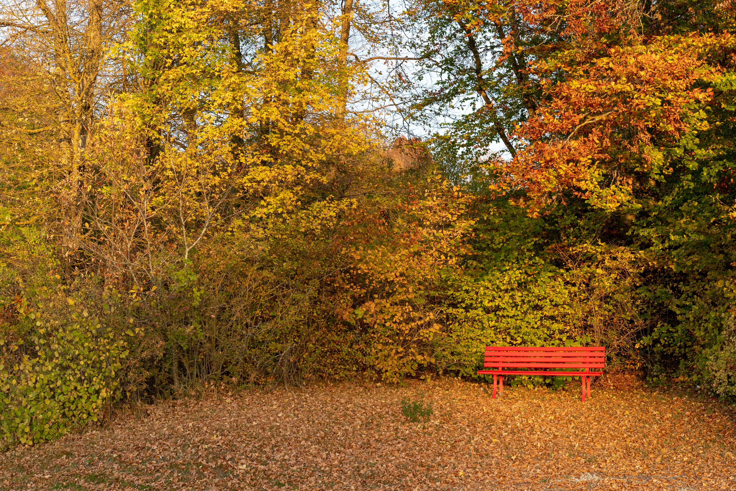 Red Bench